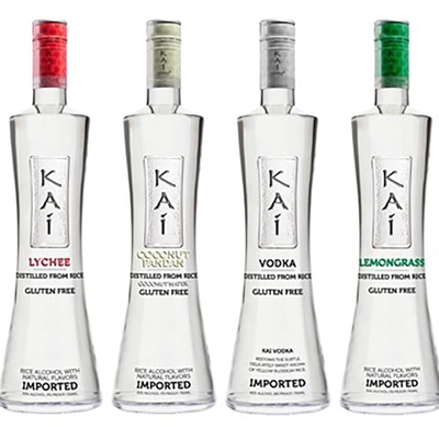 Buy Premium Flint Empty Vodka Bottle online manufacture